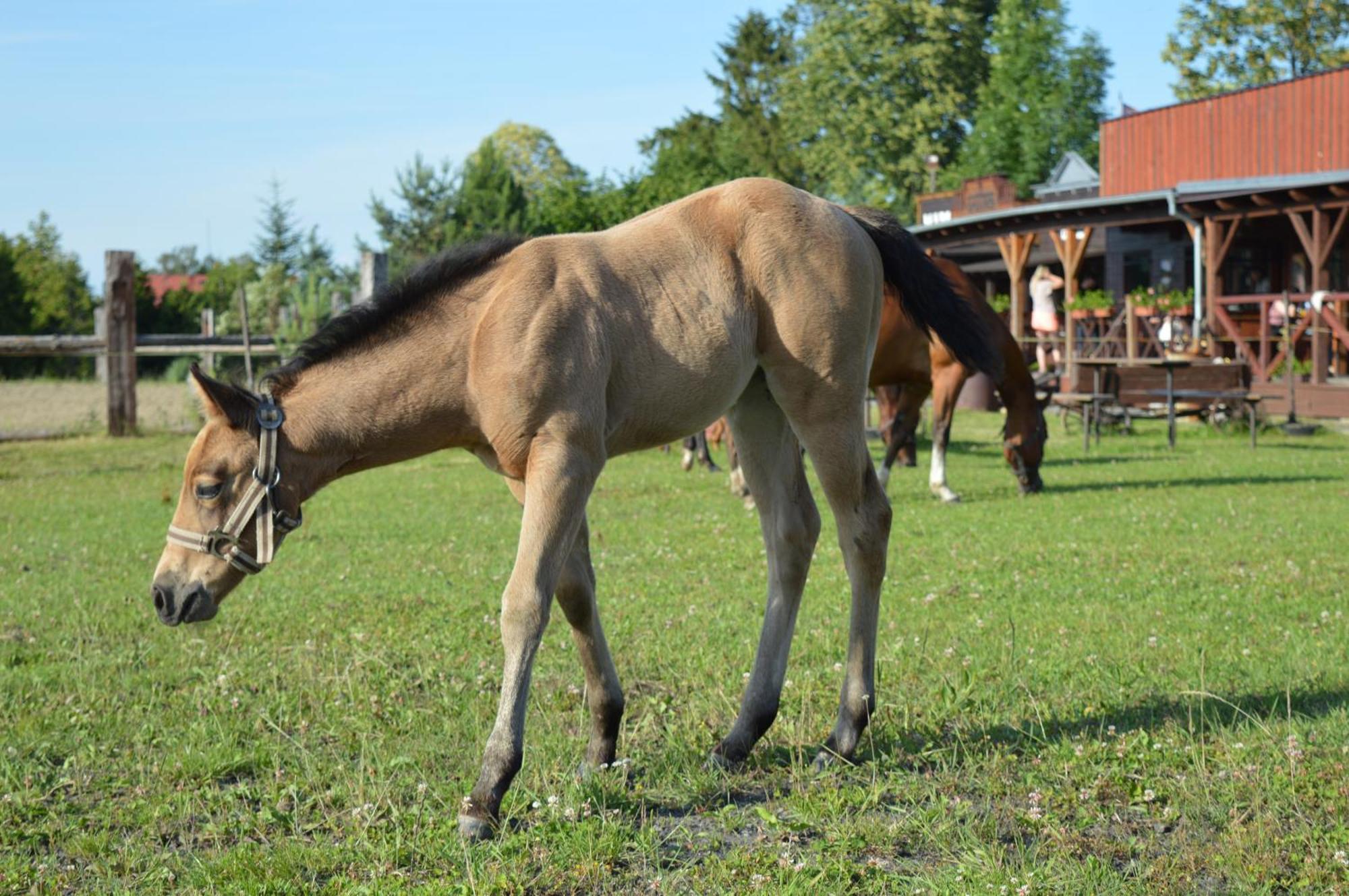 Bubla City Ranch Kopřivnice Εξωτερικό φωτογραφία